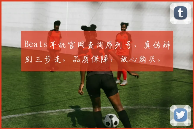 Beats耳机官网查询序列号，真伪辨别三步走，品质保障，放心购买，轻松体验