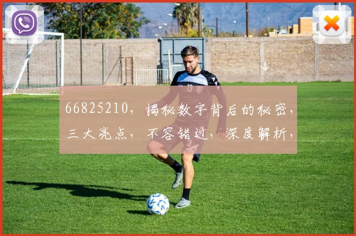 66825210，揭秘数字背后的秘密，三大亮点，不容错过，深度解析，必看
