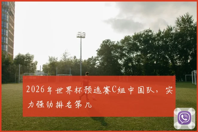 2026年世界杯预选赛C组中国队，实力强劲排名第几