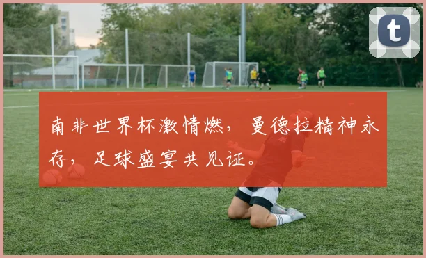南非世界杯激情燃，曼德拉精神永存，足球盛宴共见证。