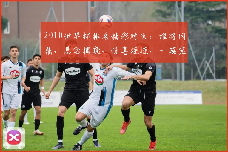 2010世界杯排名精彩对决，谁将问鼎，悬念揭晓，惊喜连连，一窥究竟。